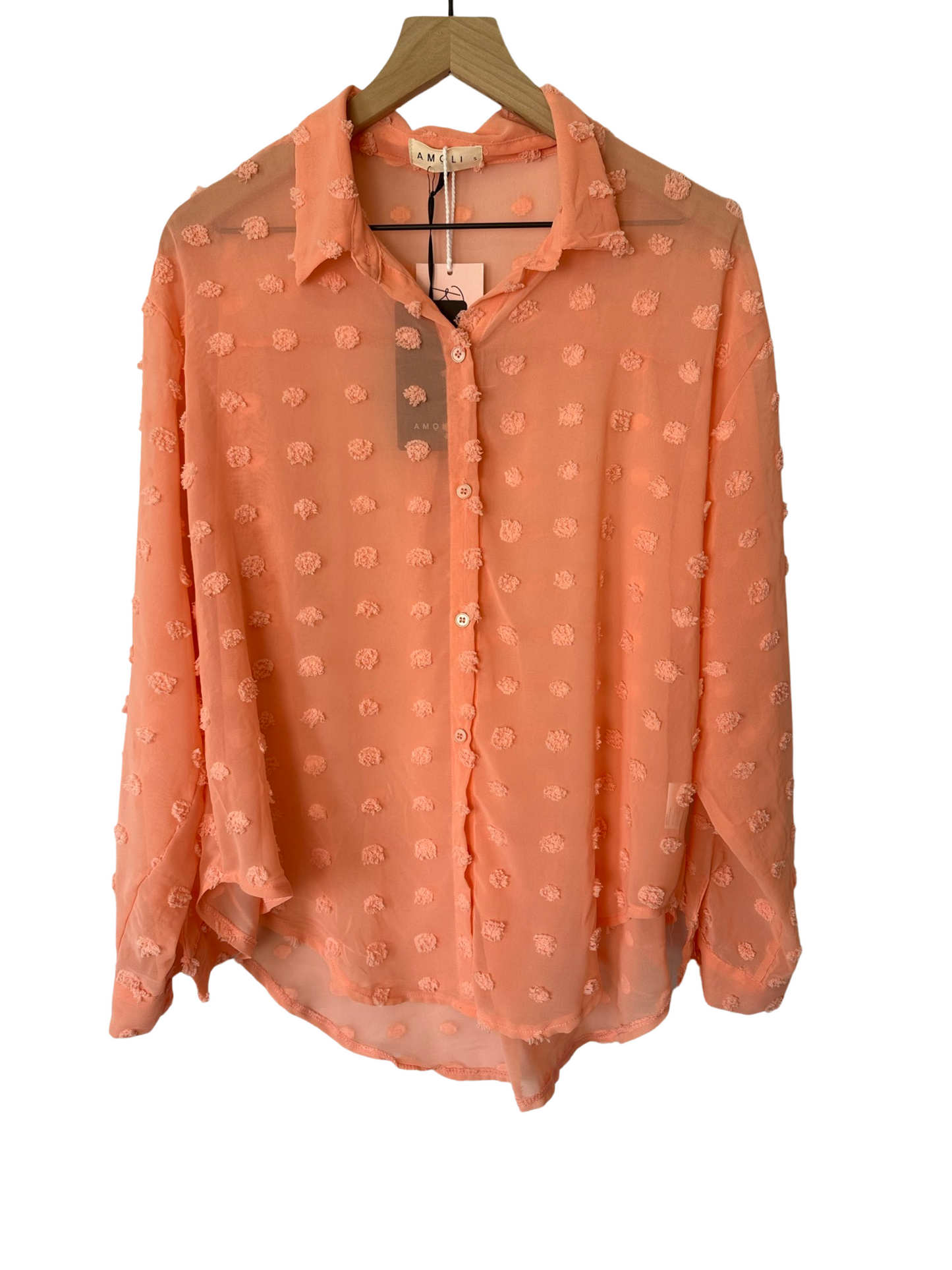 Coral Sheer Button Down Blouse
